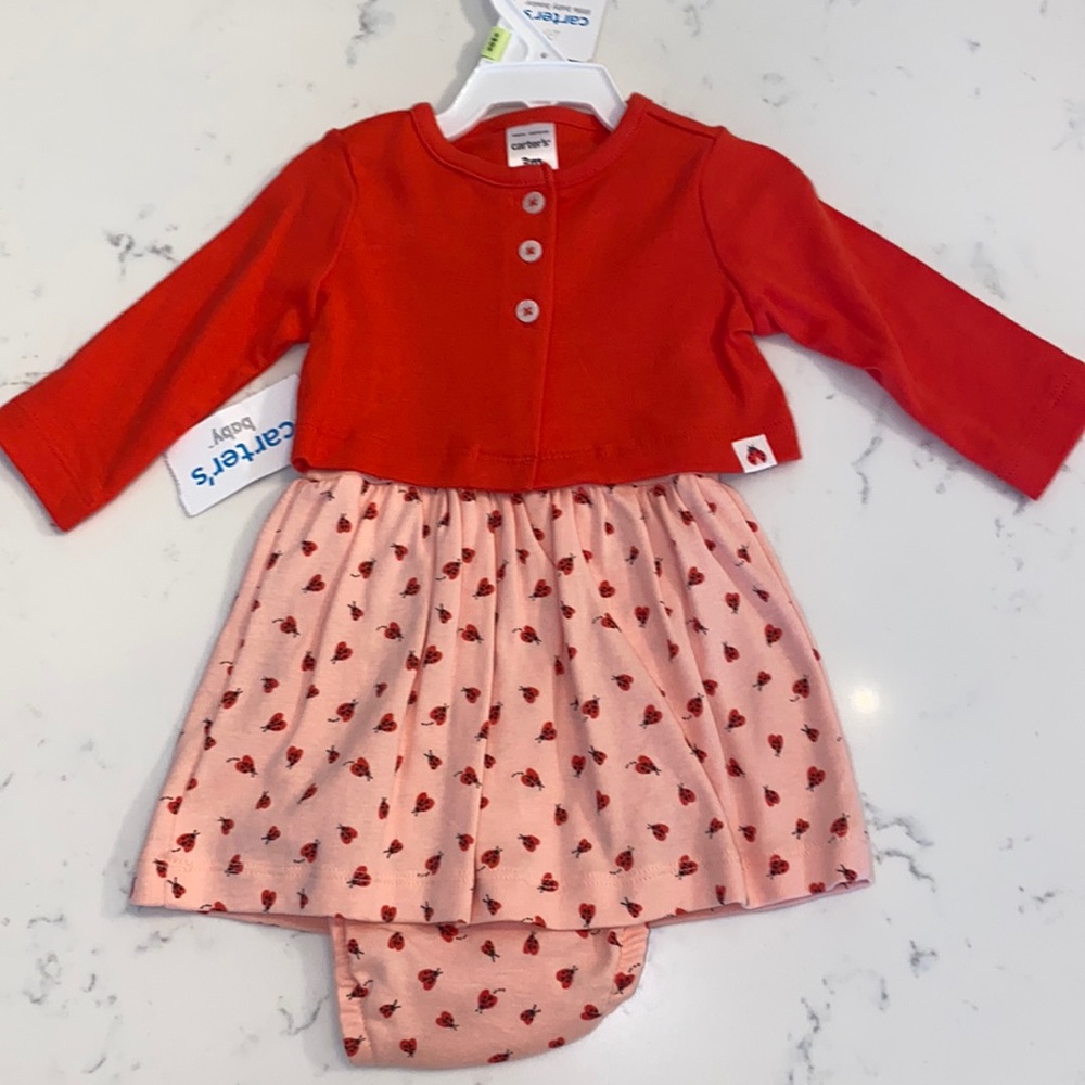 Carters Dress Bodysuit and Cardigan